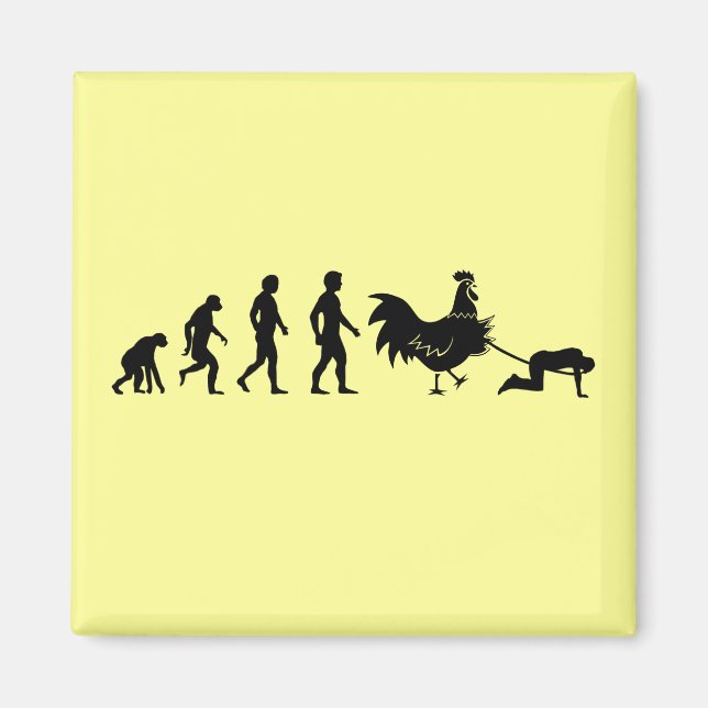 Chicken evolution magnet (Front)
