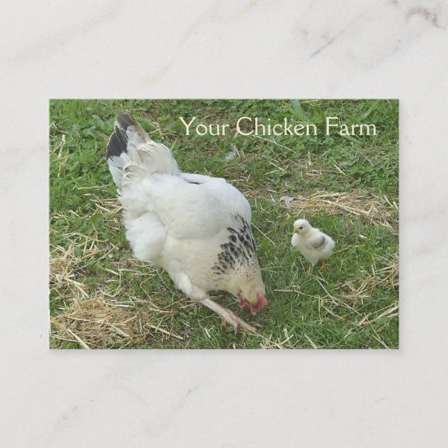 Chicken farm business card (Front)