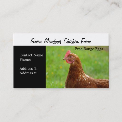 Customizable Chicken Farm  Free Range Eggs Business Cards