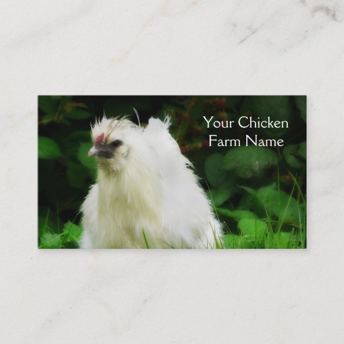 Download Chicken Farm Free Range Layer Or Poultry Bird Business Card Zazzle Com