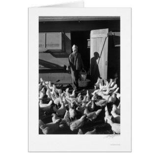 Chicken Farm Mori Nakashima 1943 Cards