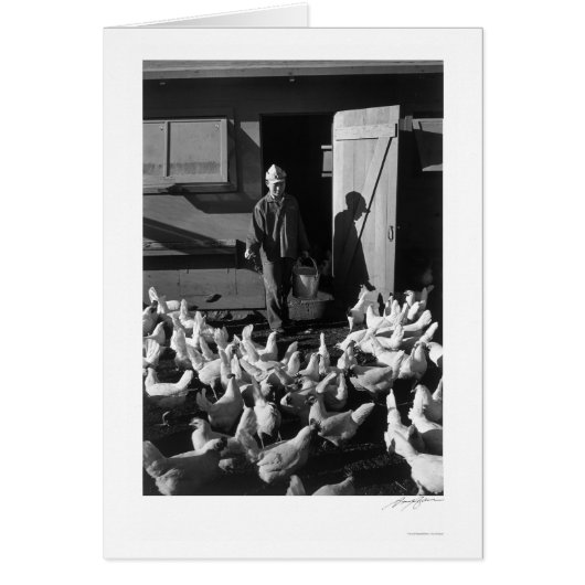 Chicken Farm Mori Nakashima 1943 Cards (Front)