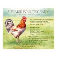 Chicken Farm