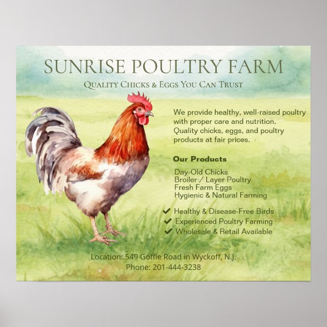 Chicken Farm  Poster (Front)