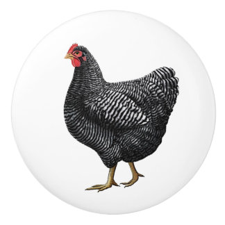 Chicken Farmhouse Drawer Pull