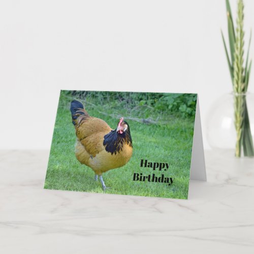 Chicken Gold and Black Vorwerk Photo Birthday Card