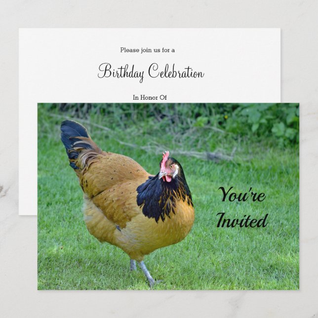 Chicken Gold and Black Vorwerk Photo Birthday Invitation (Front/Back)