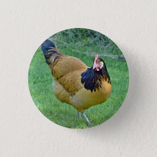 Chicken Gold and Black Vorwerk Photo Button