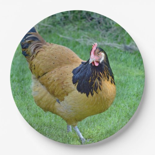 Chicken Gold and Black Vorwerk Photo Paper Plates
