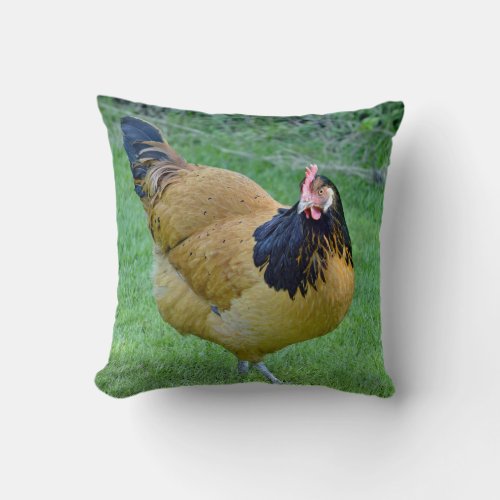 Chicken Gold and Black Vorwerk Photo Throw Pillow