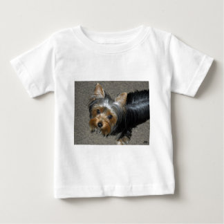 chicken hawk shirt