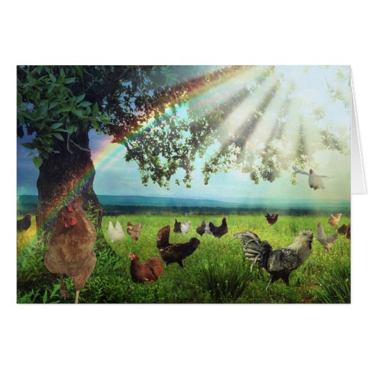 Chicken Heaven Cards (Front Horizontal)