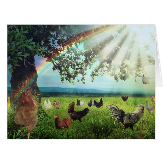 Chicken Heaven Cards (Front Horizontal)