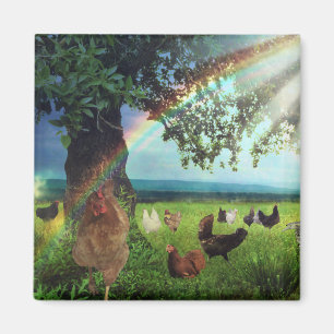 Chicken Heaven Magnet