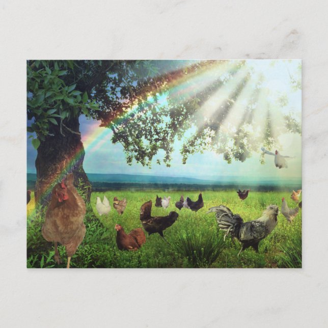 Chicken Heaven Postcard (Front)