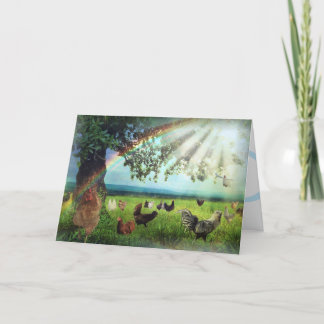 Chicken Heaven Sympathy Card