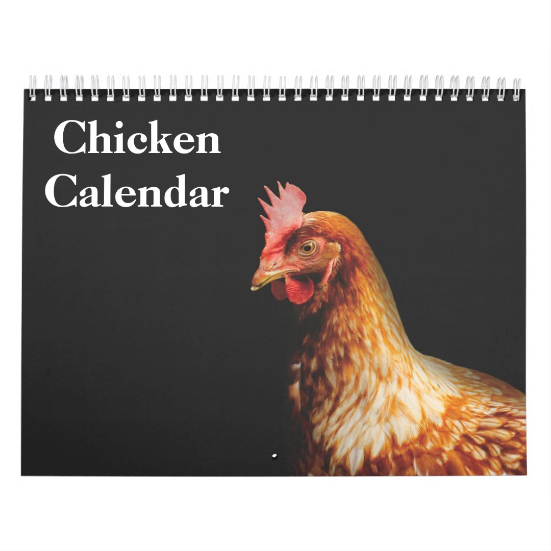 Chicken Hen Calendar Zazzle