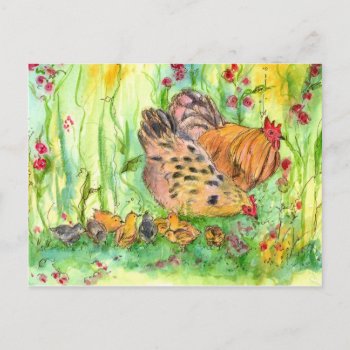 Chicken Hen Family Bird Watercolor Painting Postcard by CountryGarden at Zazzle