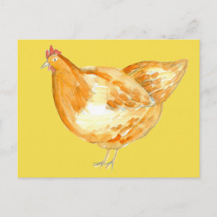 Chicken Hen Farm Animal Sunshine Yellow Postcard