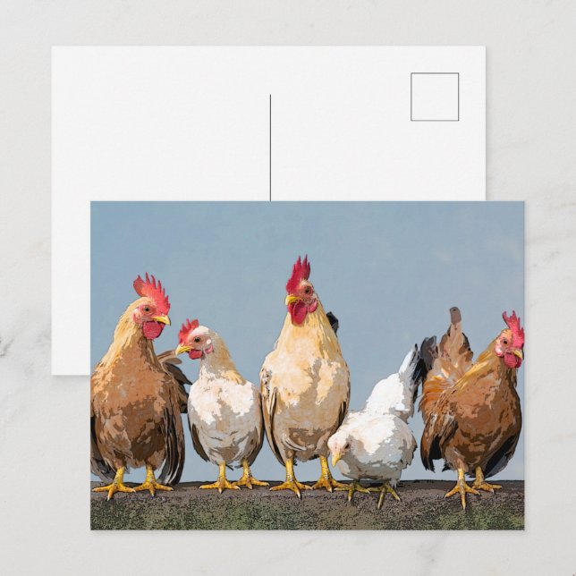 Chicken Hen  Two-Tone Coffee Mug Postcard (Front/Back)