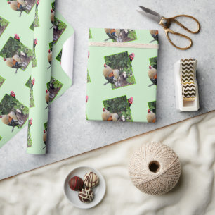 Chicken Hide And Seek, Wrapping Paper