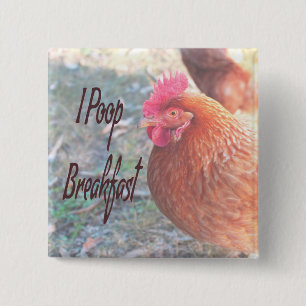 Chicken I poop Breakfast Funny Humor Button