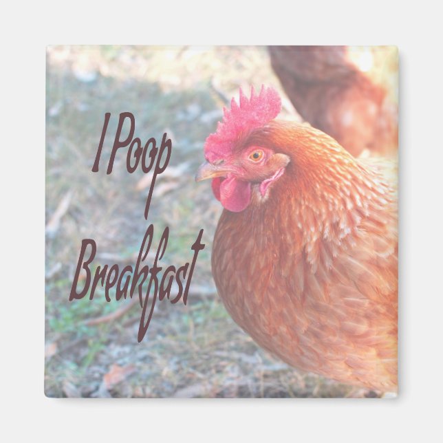 Chicken I poop Breakfast Funny Humor Magnet (Front)