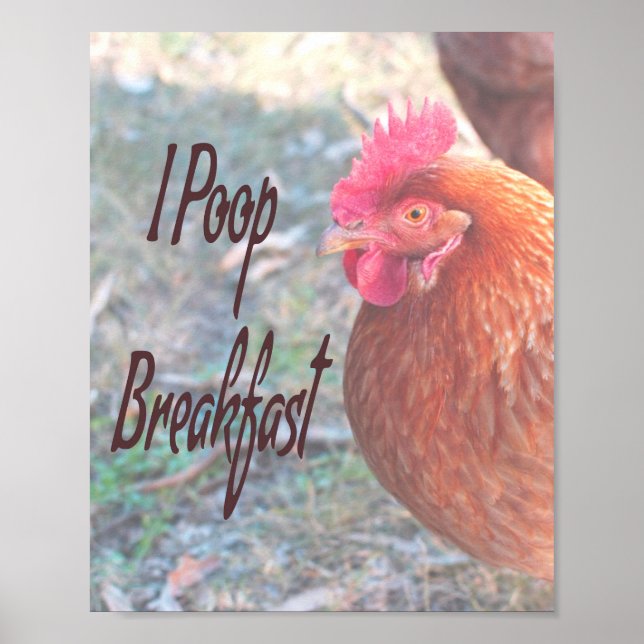 Chicken I poop Breakfast Funny Humor Poster (Front)