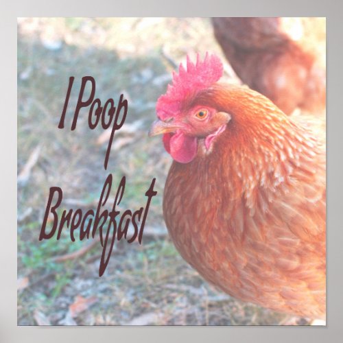 Chicken I poop Breakfast Funny Humor Poster