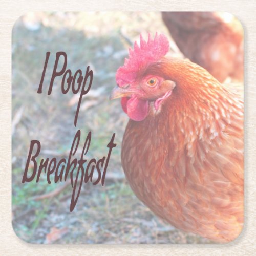 Chicken I poop Breakfast Funny Humor Square Paper Coaster