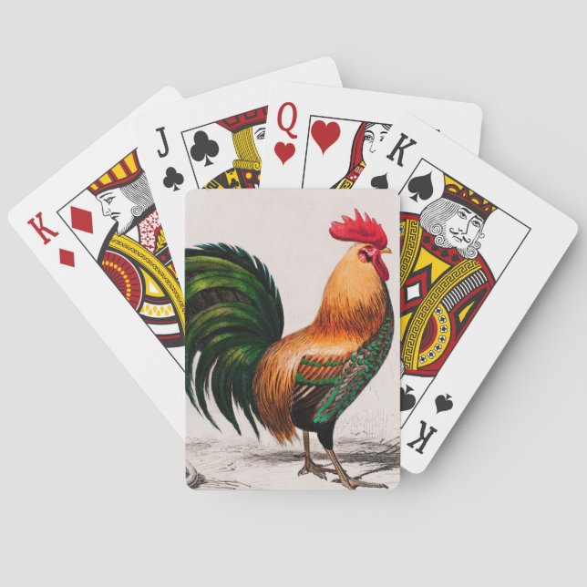 Chicken illustrated poker cards (Back)