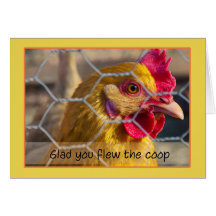 Chicken in fence Glad you flew the coop get well