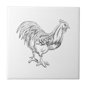 Chicken in Pen & Ink Ceramic Tile