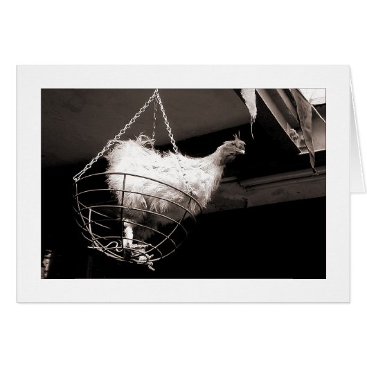 Chicken in the Basket Cards (Front Horizontal)