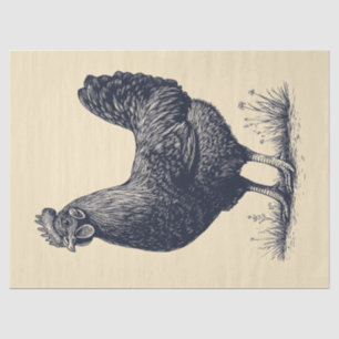 Chicken Ink Illustration on Tan Decoupage Tissue Paper