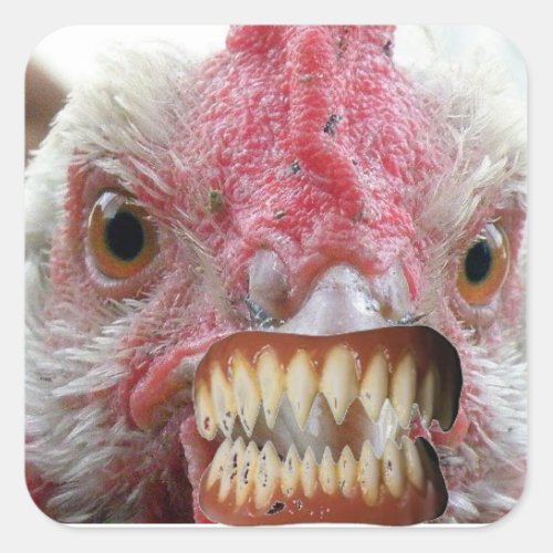 Chicken Lips Chicken Teeth DracaChicken Square Sticker