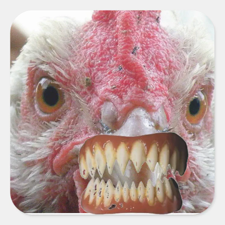 chicken teeth