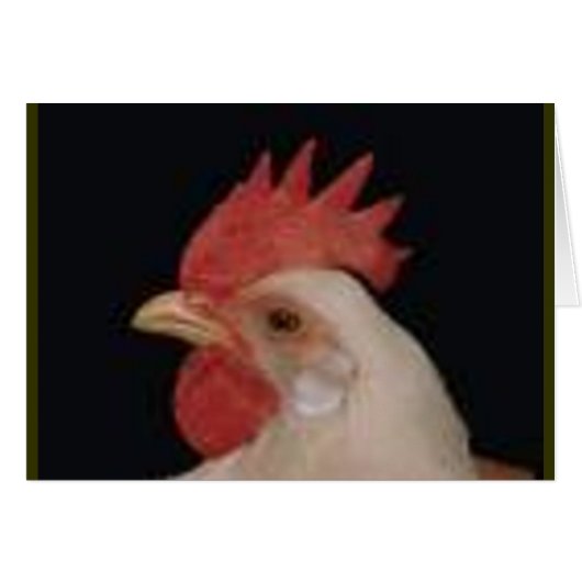 Chicken Love Cards (Front Horizontal)
