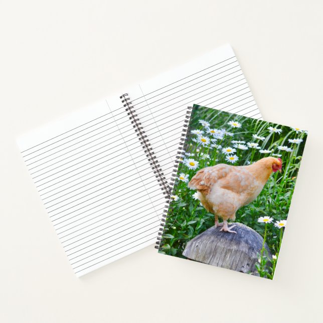 Chicken Loves Daisies Notebook (Inside)