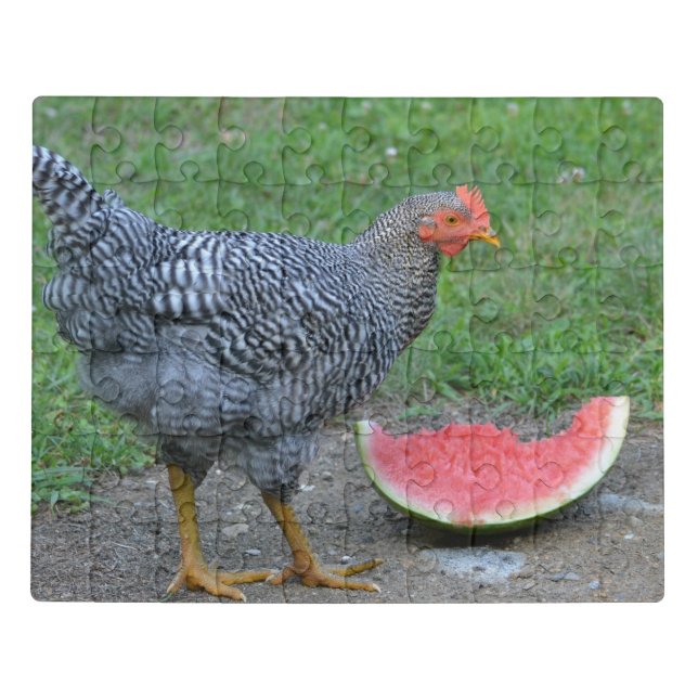 Chicken Loves Watermelon Jigsaw Puzzle (Puzzle Horizontal)