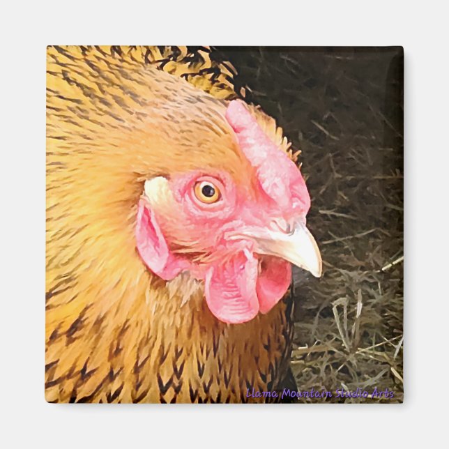 Chicken Magnet #1 Golden Laced Wyandotte (Front)