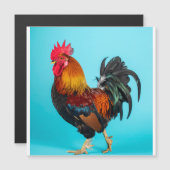 chicken magnetic card (Front/Back)