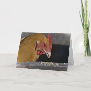 Chicken Note Card