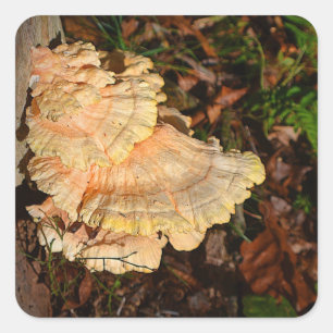 Chicken Of The Woods Mushroom Sticker