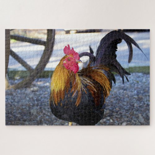 Chicken on Farm Jigsaw Puzzle