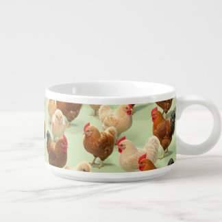 Chicken on light green background bowl