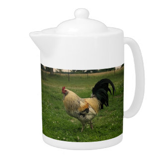 Chicken On the Farm Photo Teapot