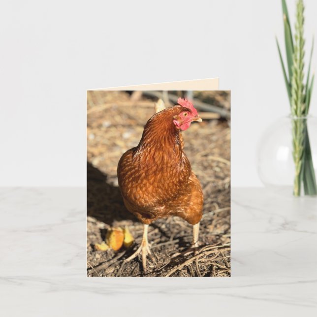 Chicken On The Move With The Side-Eye Card (Front)