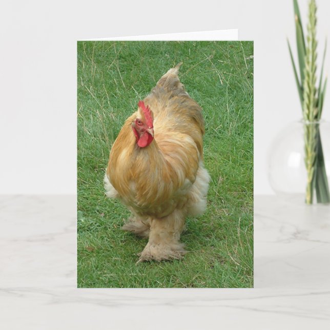 Chicken on the prowl card (Front)
