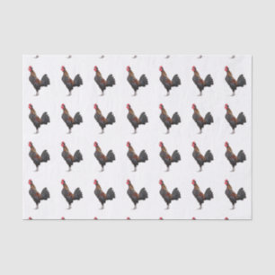 Chicken on White Tissue Paper